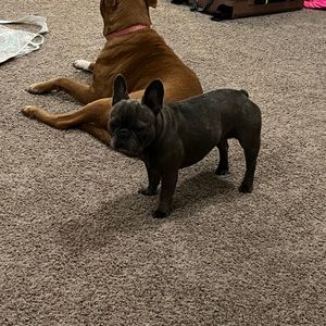 Meet your Posher, Margaret